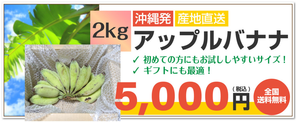 沖縄県産アップルバナナ2キロ
