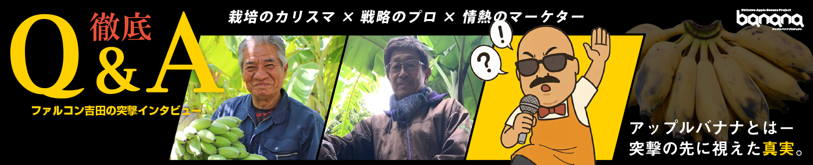 アップルバナナとは―突撃の先に視えた真実。
栽培のカリスマ × 戦略のプロ × 情熱のマーケター。
ファルコン吉田のアップルバナナ突撃インタビュー　徹底Q&A