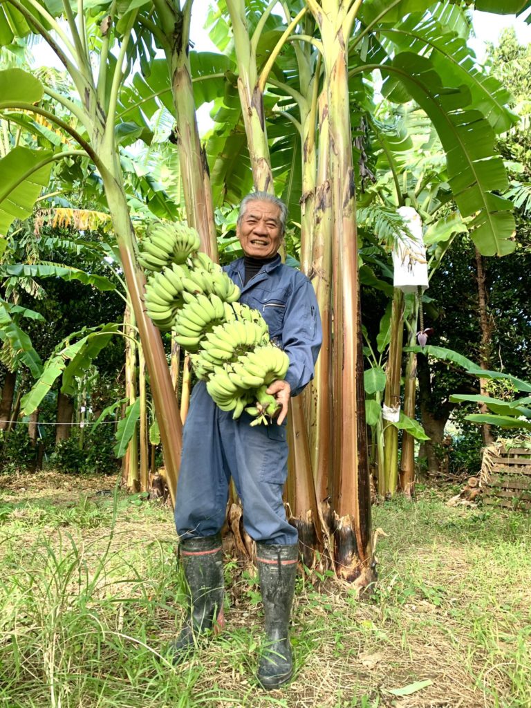 アップルバナナとシーサー上里